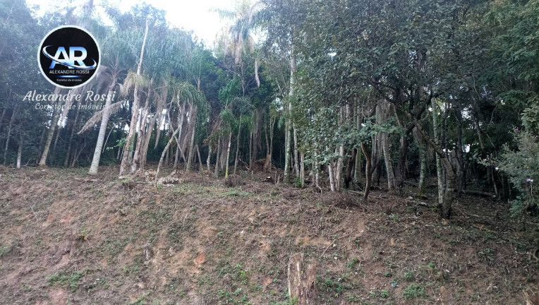 Imagem Terreno em Condomínio à Venda, 612 m² em Moinho - Campo Limpo Paulista Imagem Terreno em Condomínio à Venda, 612 m² em Moinho - Campo Limpo Paulista