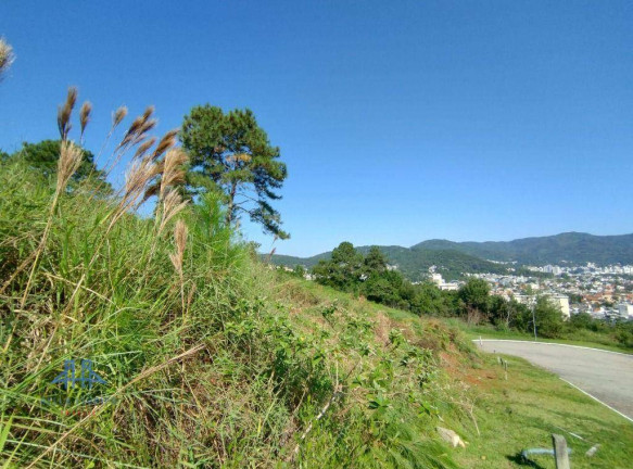 Imagem Terreno à Venda, 450 m² em Itacorubi - Florianópolis Imagem Terreno à Venda, 450 m² em Itacorubi - Florianópolis