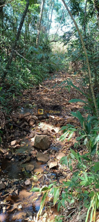 Imagem Imóvel com 3 Quartos à Venda, 532.400 m² em Itaqueri Da Serra - Itirapina