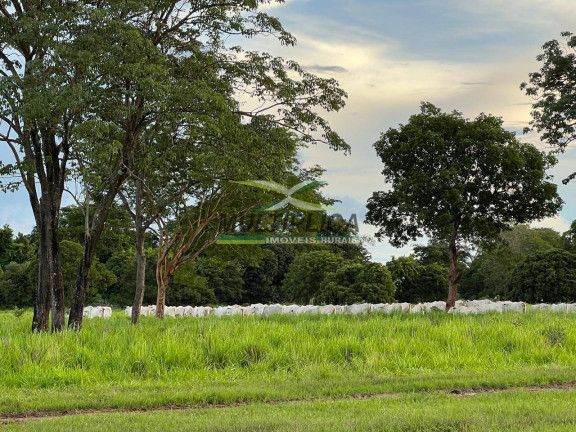 Imagem Fazenda à Venda, 3.388 m² em Aruanã Imagem Fazenda à Venda, 3.388 m² em Aruanã
