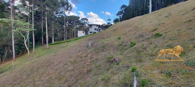 Imagem Terreno em Condomínio à Venda, 1.146 m² em Alto Do Capivari - Campos Do Jordão Imagem Terreno em Condomínio à Venda, 1.146 m² em Alto Do Capivari - Campos Do Jordão