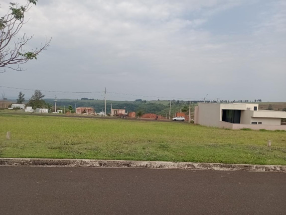 Terreno à Venda, 250 m² em Sérgio Roim (padre Nóbrega) - Marília