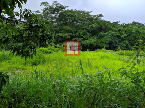 Imagem Imóvel com 3 Quartos à Venda,  em Zona Rural - Montes Claros
