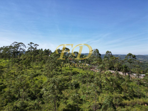 Imagem Imóvel Comercial à Venda, 380.000 m² em Terra Preta - Mairiporã