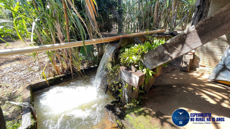 Imagem Chácara à Venda, 5 m² em Zona Rural - São Miguel Do Passa Quatro Imagem Chácara à Venda, 5 m² em Zona Rural - São Miguel Do Passa Quatro