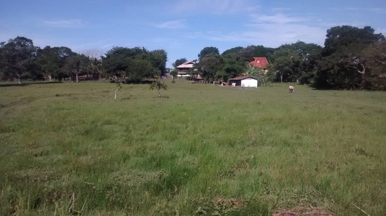 Imagem Chácara à Venda, 4.800 m² em São João Do Rio Vermelho - Florianópolis Imagem Chácara à Venda, 4.800 m² em São João Do Rio Vermelho - Florianópolis