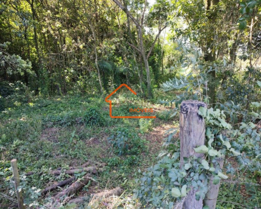 Imagem Imóvel à Venda, 24.000 m² em Capão Da Tenda - Mogi Mirim Imagem Imóvel à Venda, 24.000 m² em Capão Da Tenda - Mogi Mirim
