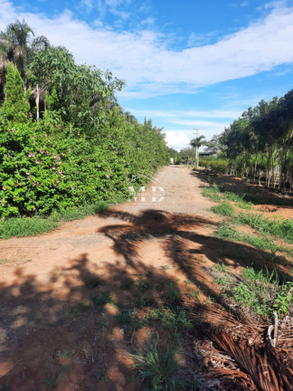 Imagem Imóvel à Venda, 48.000 m² em Ponte De Tábua - Artur Nogueira Imagem Imóvel à Venda, 48.000 m² em Ponte De Tábua - Artur Nogueira