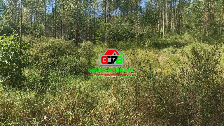 Imagem Chácara à Venda, 10 m² em Zona Rural De Paraibuna - Paraibuna