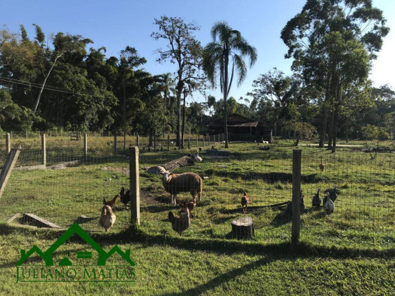 Imagem Chácara com 4 Quartos à Venda, 300 m² em Pinheiros - Balneário Barra Do Sul