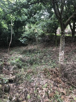 Imagem Imóvel à Venda, 1.200 m² em Campo Grande - Rio De Janeiro
