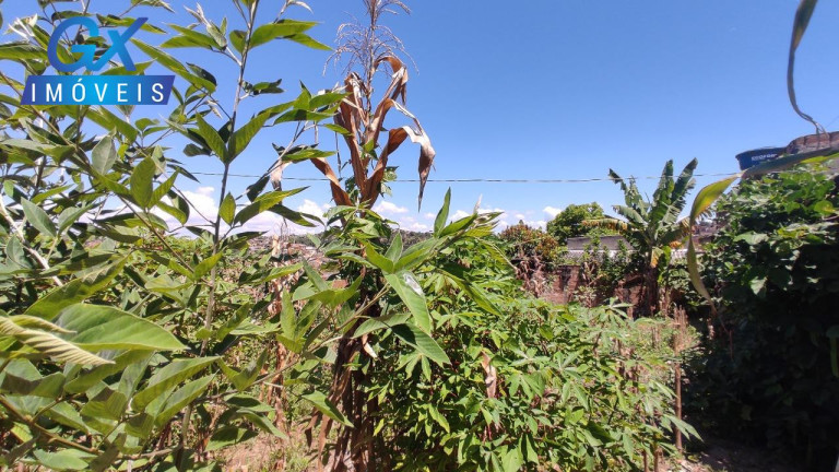 Imagem Terreno à Venda, 200 m² em Fazenda Castro - Ribeirão Das Neves Imagem Terreno à Venda, 200 m² em Fazenda Castro - Ribeirão Das Neves