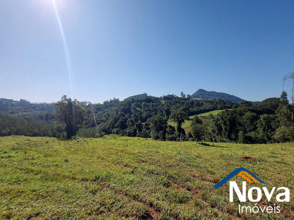 Imagem Imóvel à Venda, em Arroio Bonito - São José Do Hortêncio Imagem Imóvel à Venda, em Arroio Bonito - São José Do Hortêncio