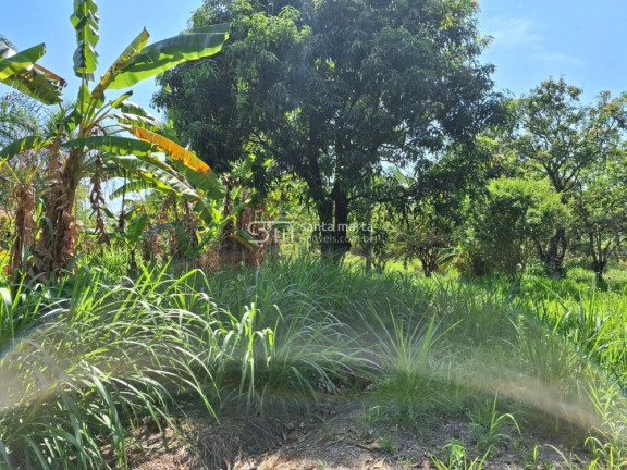 Imagem Imóvel com 2 Quartos à Venda, 2.900 m² em Embaúzinho - Cachoeira Paulista Imagem Imóvel com 2 Quartos à Venda, 2.900 m² em Embaúzinho - Cachoeira Paulista