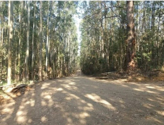 Imagem Fazenda à Venda,  em Residencial Impacel Ii - Arapoti