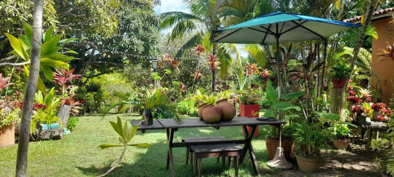 Imagem Chácara com 3 Quartos à Venda, 5.700 m² em Barra Do Pojuca (monte Gordo) - Camaçari Imagem Chácara com 3 Quartos à Venda, 5.700 m² em Barra Do Pojuca (monte Gordo) - Camaçari
