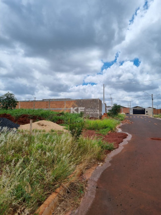 Imagem Terreno à Venda, 160 m² em Terras De Cravinhos - Cravinhos