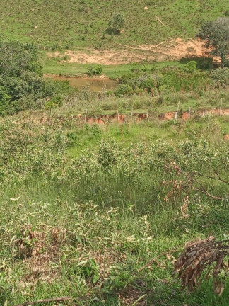 Imagem Chácara com 3 Quartos à Venda, 33 m² em Zona De Pecuária - Pilar Do Sul