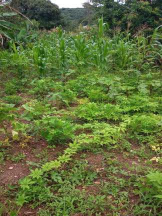 Imagem Terreno à Venda, 360 m² em Vele Do Sol - São Joaquim De Bicas Imagem Terreno à Venda, 360 m² em Vele Do Sol - São Joaquim De Bicas