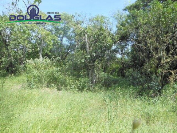 Imagem Imóvel Comercial à Venda, 13 m² em Viamão Imagem Imóvel Comercial à Venda, 13 m² em Viamão