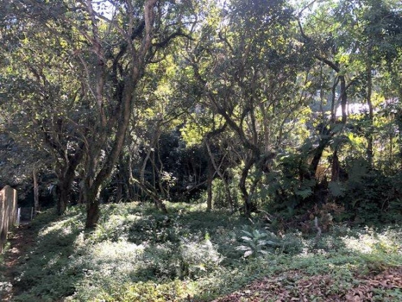 Imagem Terreno à Venda, 450 m² em Recantinho - Carapicuíba Imagem Terreno à Venda, 450 m² em Recantinho - Carapicuíba