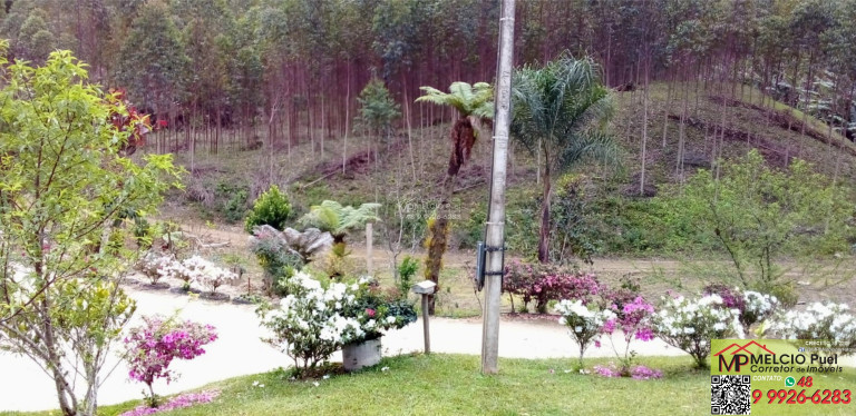 Imagem Imóvel com 3 Quartos à Venda, em Beija Flor - Major Gercino Sc Imagem Imóvel com 3 Quartos à Venda, em Beija Flor - Major Gercino Sc