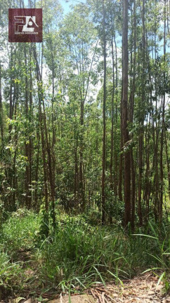 Imagem Imóvel à Venda, 24.200 m² em área Rural De Lorena - Lorena