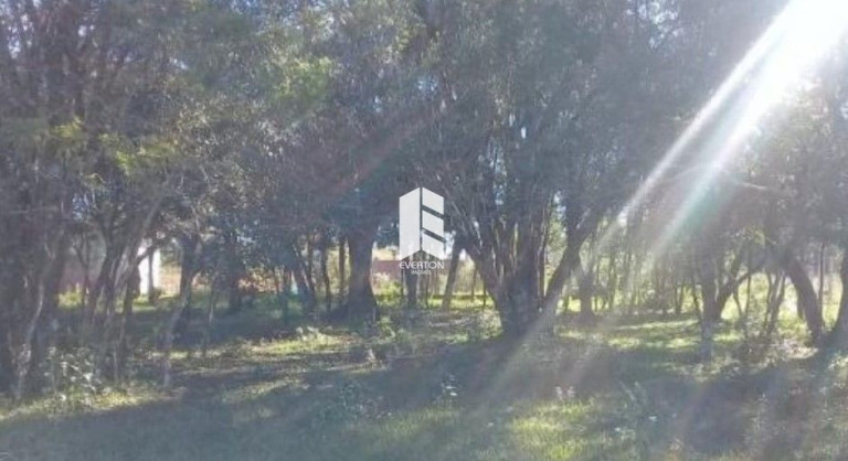 Imagem Terreno à Venda, 2.000 m² em Etelvina - Itaara Imagem Terreno à Venda, 2.000 m² em Etelvina - Itaara