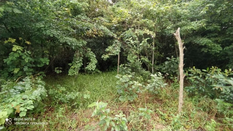 Imagem Terreno à Venda, 5.000 m² em Aldeia Dos Camarás - Camaragibe