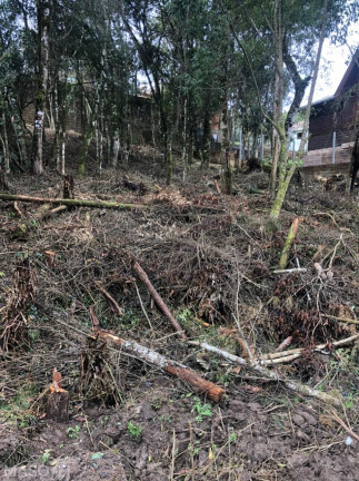 Imagem Terreno à Venda, 422 m² em Mato Queimado - Gramado Imagem Terreno à Venda, 422 m² em Mato Queimado - Gramado