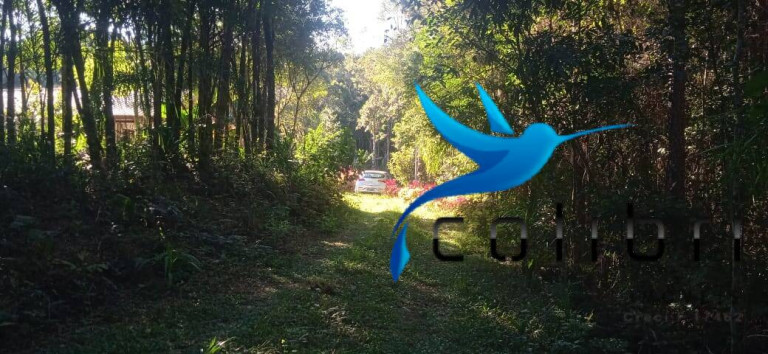 Imagem Chácara com 2 Quartos à Venda, 6.655 m² em Taboão - Agudos Do Sul