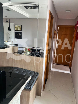 Apartamento com 3 Quartos à Venda, 63 m² em Vila Guilherme - São Paulo