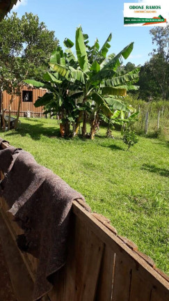 Imagem Chácara com 3 Quartos à Venda, 20 m² em Montenegro
