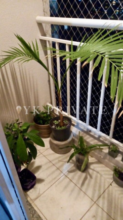 Imagem Apartamento com 3 Quartos à Venda, 77 m² em Jardim Flor Da Montanha - Guarulhos Imagem Apartamento com 3 Quartos à Venda, 77 m² em Jardim Flor Da Montanha - Guarulhos