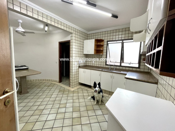 Imagem Imóvel com 3 Quartos à Venda, 159 m² em Centro - Ribeirão Preto