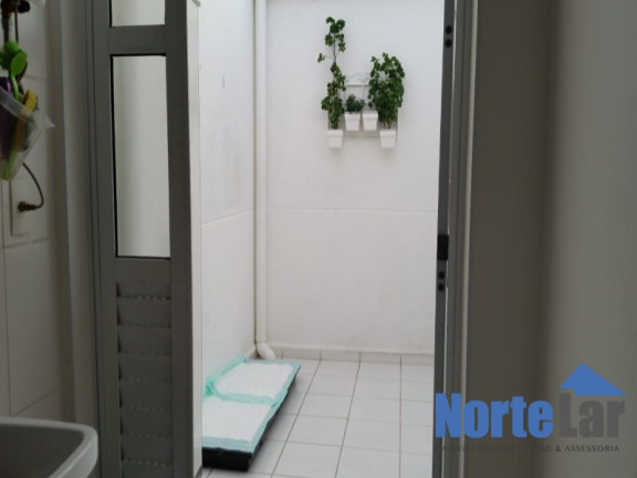 Imagem Apartamento com 3 Quartos à Venda, 70 m² em Vila Siqueira (zona Norte) - São Paulo Imagem Apartamento com 3 Quartos à Venda, 70 m² em Vila Siqueira (zona Norte) - São Paulo