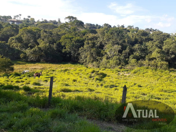 Imagem Terreno à Venda, 10 m² em Canedos - Piracaia