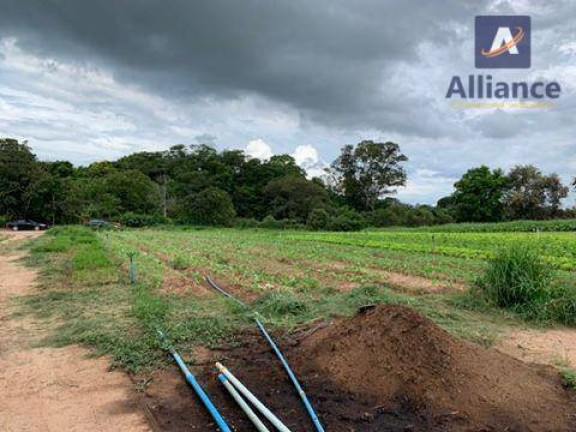 Imagem Imóvel à Venda, 15.000 m² em Traviú - Jundiaí
