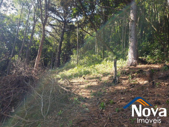 Imagem Imóvel à Venda, 6.862 m² em Vila Olinda - Nova Petrópolis