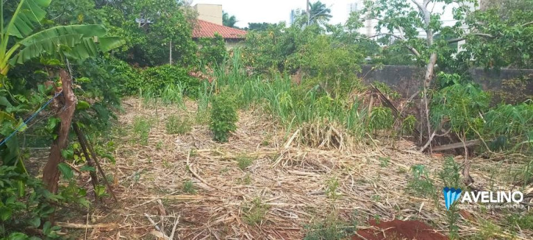 Imagem Terreno à Venda, 1.320 m² em Monte Castelo - Campo Grande Imagem Terreno à Venda, 1.320 m² em Monte Castelo - Campo Grande