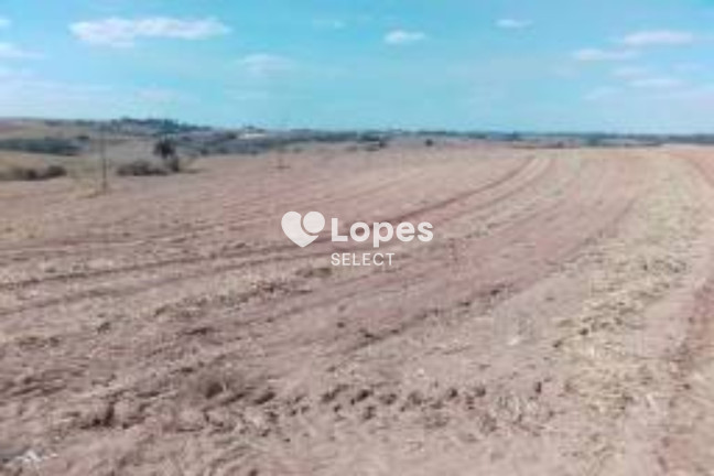 Imagem Imóvel com 1 Quarto à Venda, 310 m² em área Rural De Ribeirão Preto - Ribeirão Preto Imagem Imóvel com 1 Quarto à Venda, 310 m² em área Rural De Ribeirão Preto - Ribeirão Preto