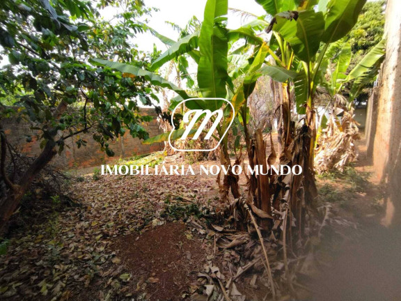 Imagem Casa com 2 Quartos à Venda, 400 m² em Umuarama - Uberlândia