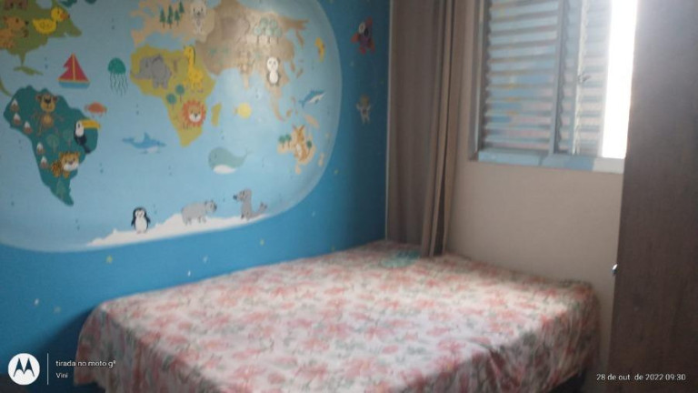 Imagem Apartamento com 2 Quartos à Venda, 56 m² em Vila Silvia - São Paulo Imagem Apartamento com 2 Quartos à Venda, 56 m² em Vila Silvia - São Paulo