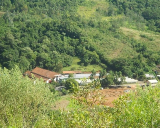 Imagem Terreno à Venda, 7 m² em Lichthenthal - Picada Café