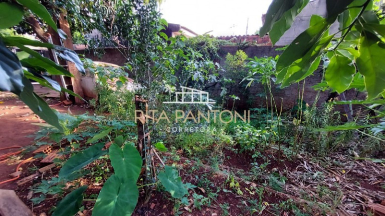 Imagem Terreno à Venda, 250 m² em Jardim Jandaia - Ribeirão Preto