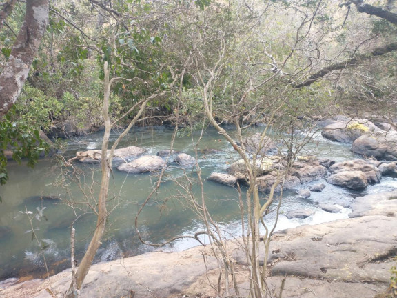 Imagem Chácara à Venda, 20.000 m² em Rio Pardo - Caldas Imagem Chácara à Venda, 20.000 m² em Rio Pardo - Caldas