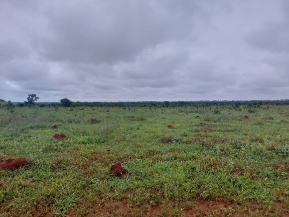 Imóvel à Venda, 13.636 m² em Area Rural De Nova Nazare - Nova Nazare