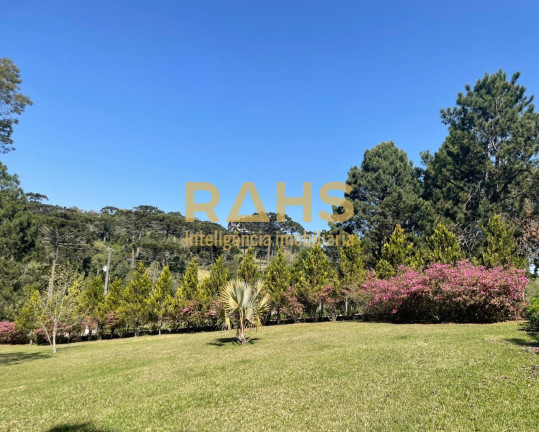 Imagem Chácara com 3 Quartos à Venda, 30.017 m² em Centro - Campo Alegre Imagem Chácara com 3 Quartos à Venda, 30.017 m² em Centro - Campo Alegre