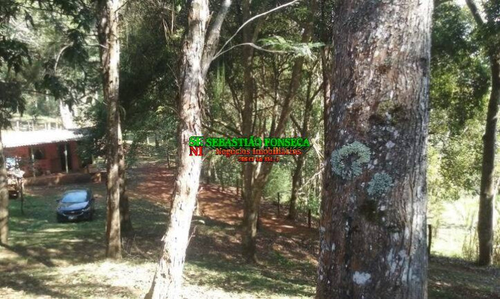 Imagem Chácara com 4 Quartos à Venda, 3 m² em São Francisco Xavier - São José Dos Campos