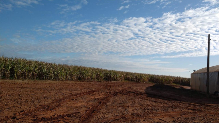 Imagem Fazenda à Venda, 54 m² em Itai - Itaí Imagem Fazenda à Venda, 54 m² em Itai - Itaí